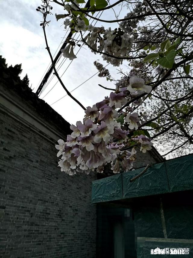 想买房！三四线的小县城！房价5700-7000！有点贵！值得入手嘛