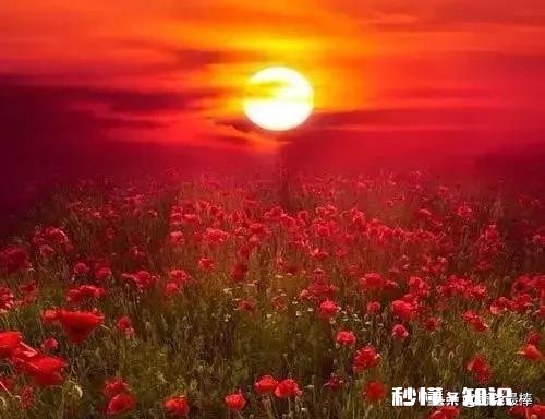 做什么事，才能让邪恶避而远之