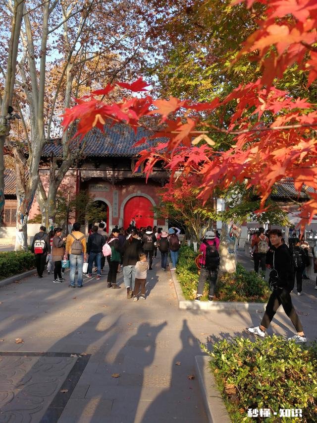 如果你老了，退休了，最想做的事是什么