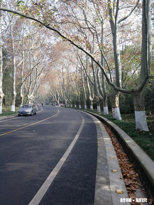 如果你老了，退休了，最想做的事是什么