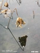 在《大江大河》电视剧中，程开颜这种老婆，你会和她离婚吗