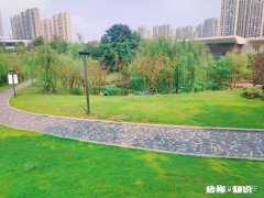 如何用手机拍出有感觉的照片