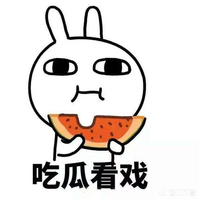 如何看待不追剧也不看综艺的人