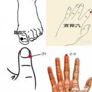 人懂一些中医知识对生活有什么帮助吗