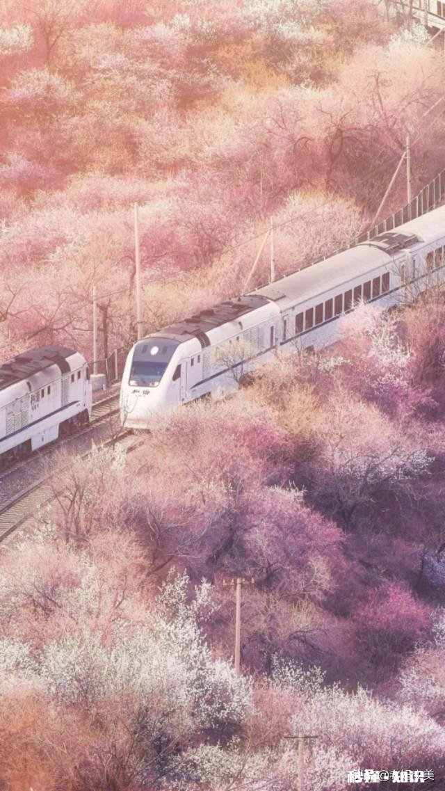 深灰，浅灰，牛仔蓝织毛衣，怎么搭