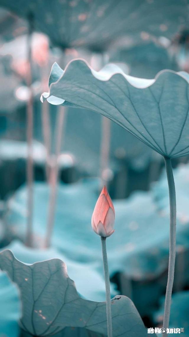 深灰，浅灰，牛仔蓝织毛衣，怎么搭