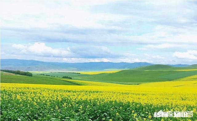 定制旅行在国内怎么开展