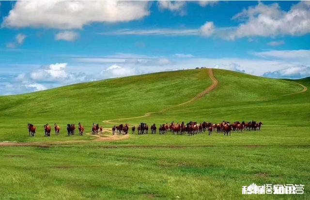 定制旅行在国内怎么开展