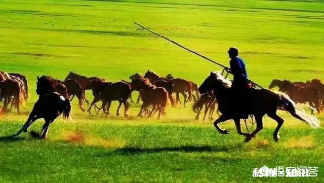 定制旅行在国内怎么开展