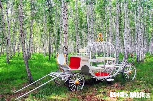 定制旅行在国内怎么开展