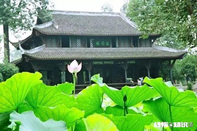 “人为财死，鸟为食亡”。人的一生为了的和追求的是不是都是财