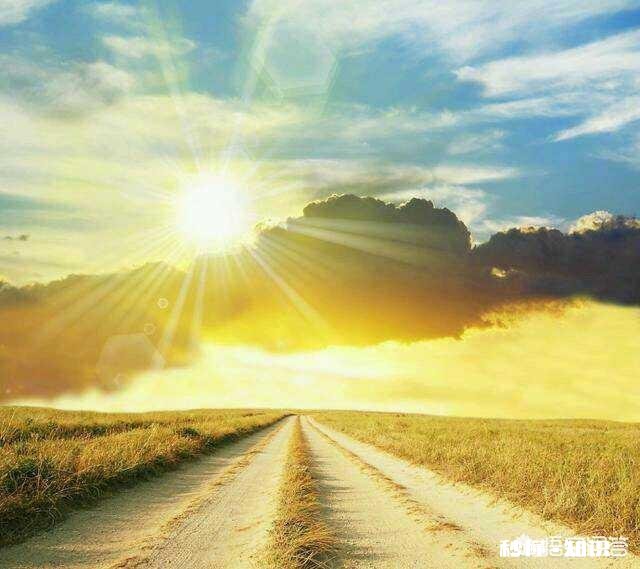 如何提高小学四年级孩子的英语成绩