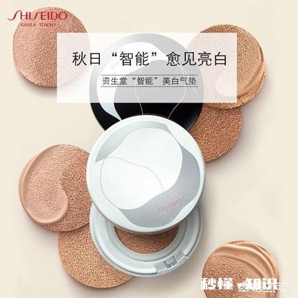 有哪些很好用的大牌气垫可以推荐