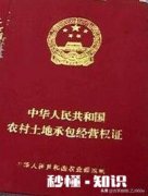 非农要转回农村户口有哪些政策