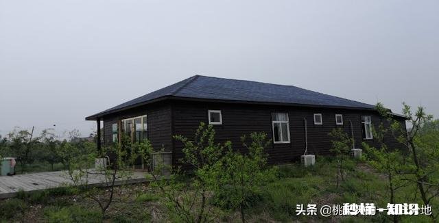 非农要转回农村户口有哪些政策