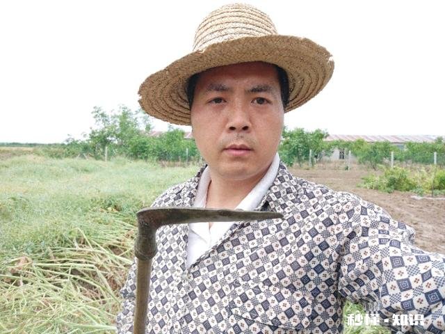 非农要转回农村户口有哪些政策