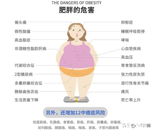 有什么好的办法减肥最好一个月能减10斤左右