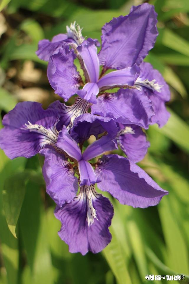 喜欢浏览微信朋友圈内容，还是喜欢看头条呢有理由吗