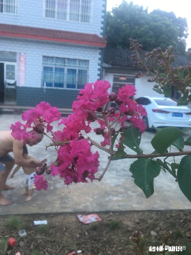 你们有一张就诠释乡愁的图片吗