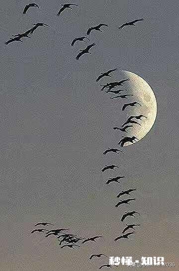 你们有一张就诠释乡愁的图片吗