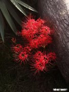 人像摄影有动、有静，动感十足的人像怎么拍悄然无声的人像怎么拍