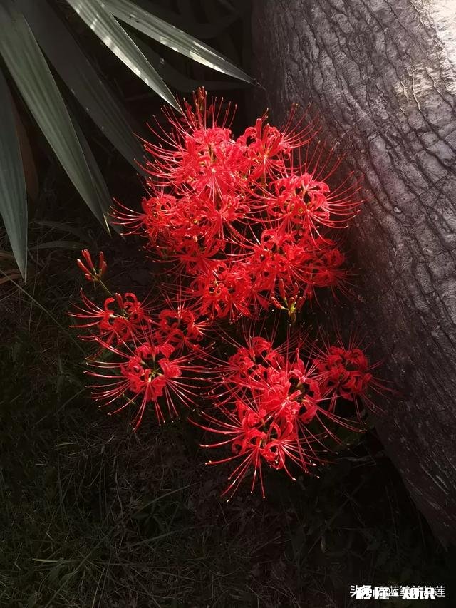 人像摄影有动、有静，动感十足的人像怎么拍悄然无声的人像怎么拍
