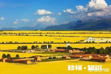 宇宙是因为人类才存在的吗