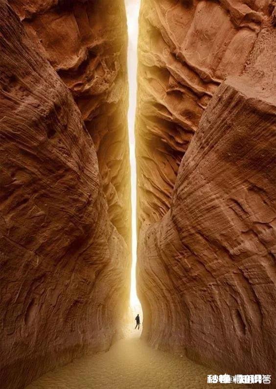 宇宙是因为人类才存在的吗