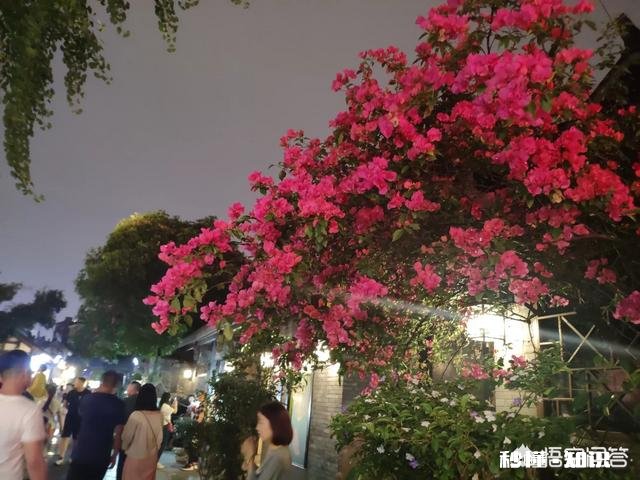 准备1日成都游,我怎么安排呢