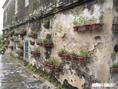 农村现在土地确权不允许在农村建房屋，可又买不起城市楼房该怎么办