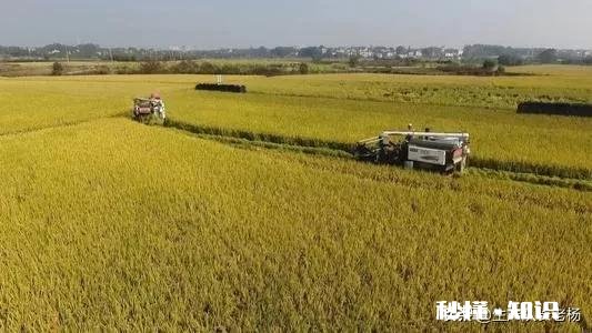 在农村承包300亩地比打工强吗