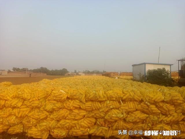 在农村承包300亩地比打工强吗