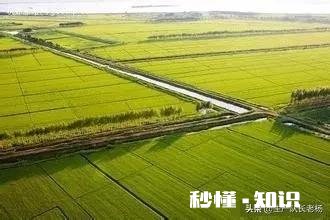在农村承包300亩地比打工强吗