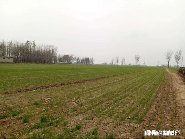 在农村承包300亩地比打工强吗