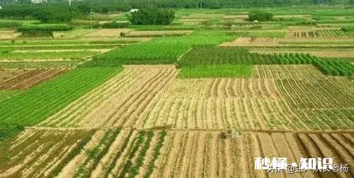 在农村承包300亩地比打工强吗