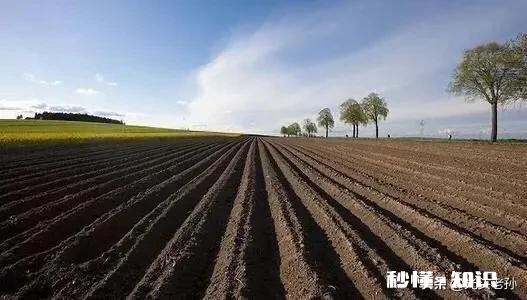 在农村承包300亩地比打工强吗