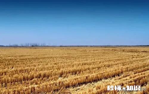 在农村承包300亩地比打工强吗