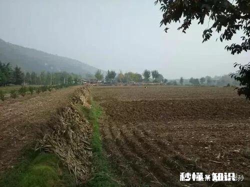 在农村承包300亩地比打工强吗