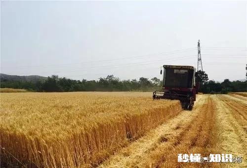 在农村承包300亩地比打工强吗