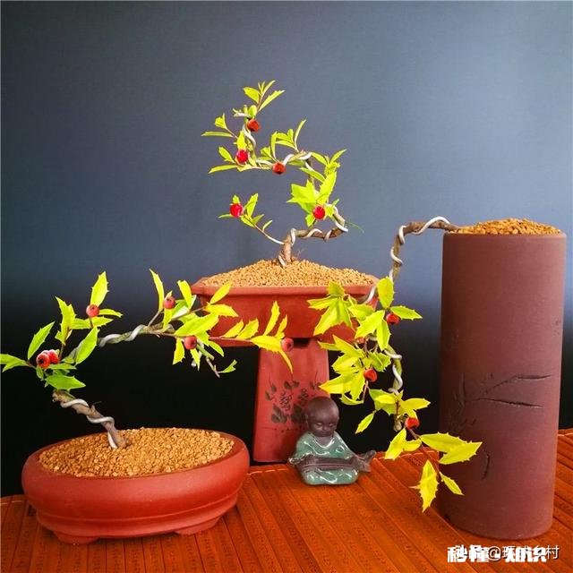 绣花针盆景用什么土种植好