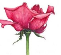 学历低的女孩有人喜欢吗