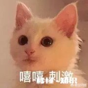 选择人生伴侣，要选微胖的女孩还是骨感的