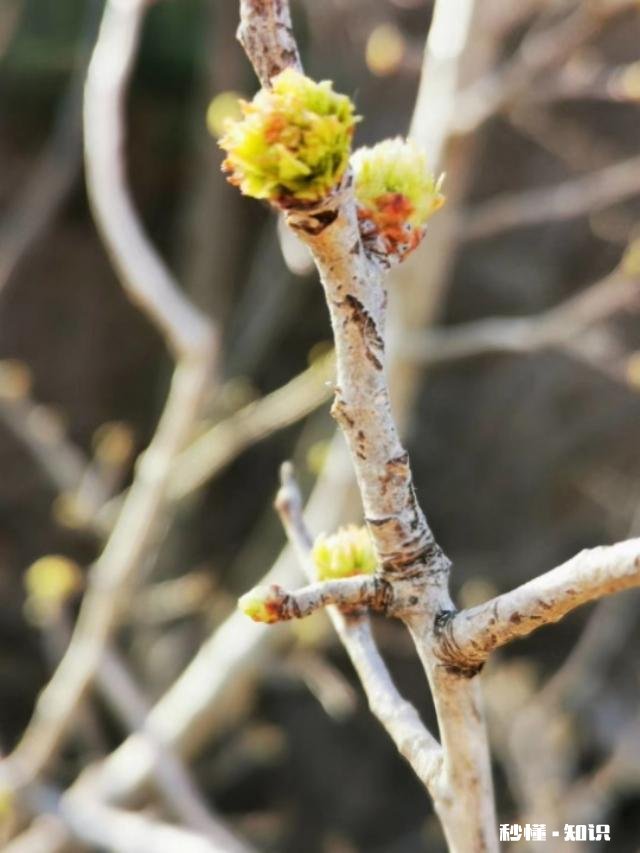 负债累累的你最怕见到什么