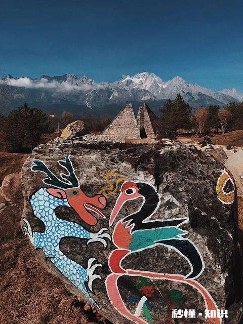 讲一讲出去旅游你会住酒店还是住民宿为什么