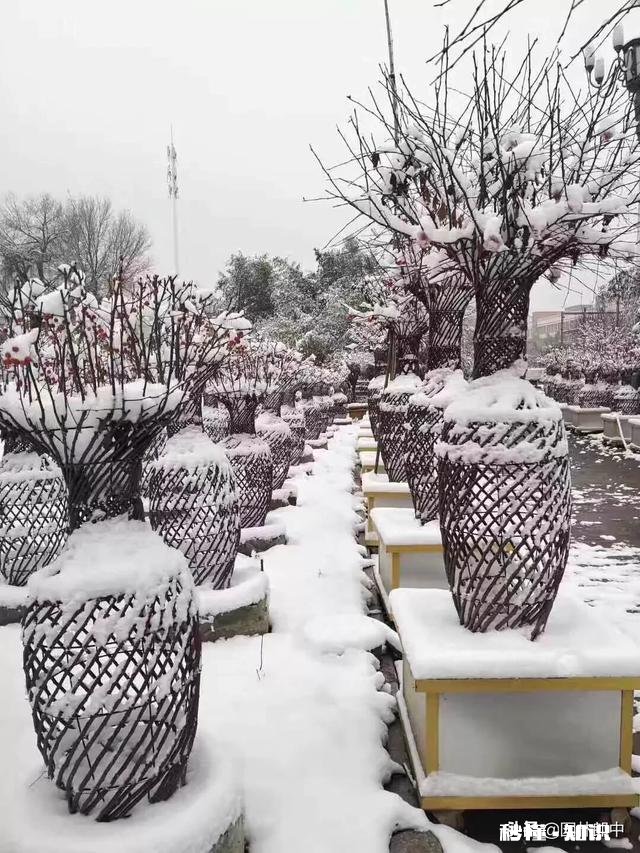 什么时候游览园林最好