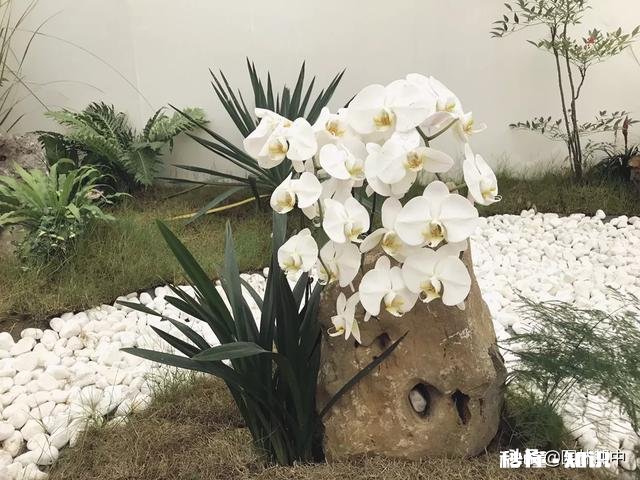 什么时候游览园林最好