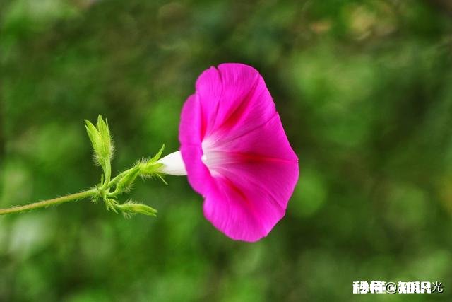 手机怎么拍路上骑摩托的人