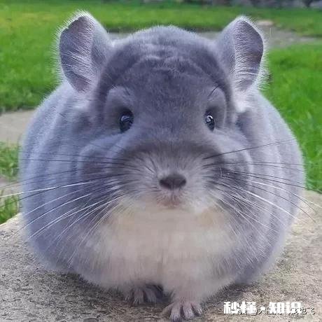 马上要开学了，怎么帮孩子制定学习计划