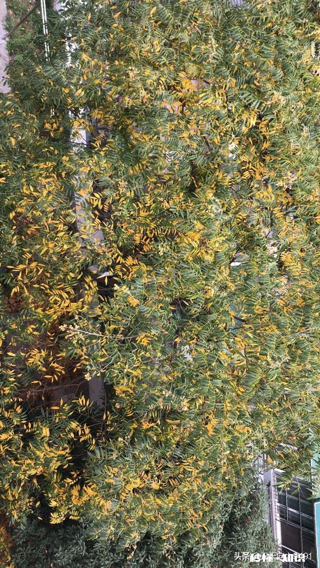 南方城市的花卉生意好做吗