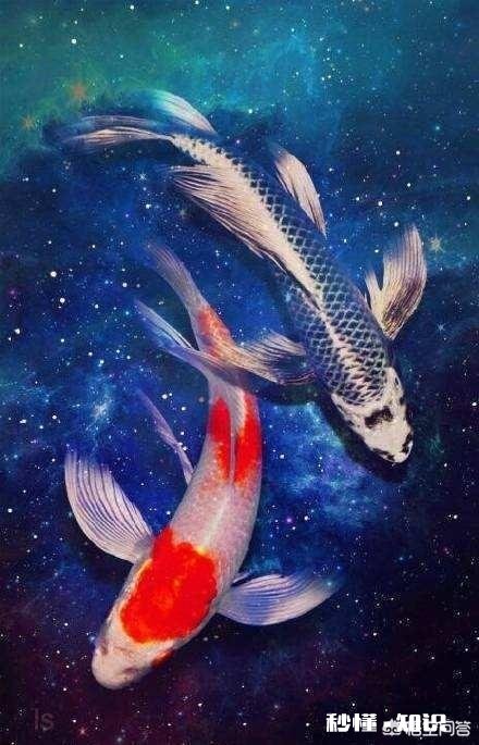 不读万卷书，旅行会有意义吗